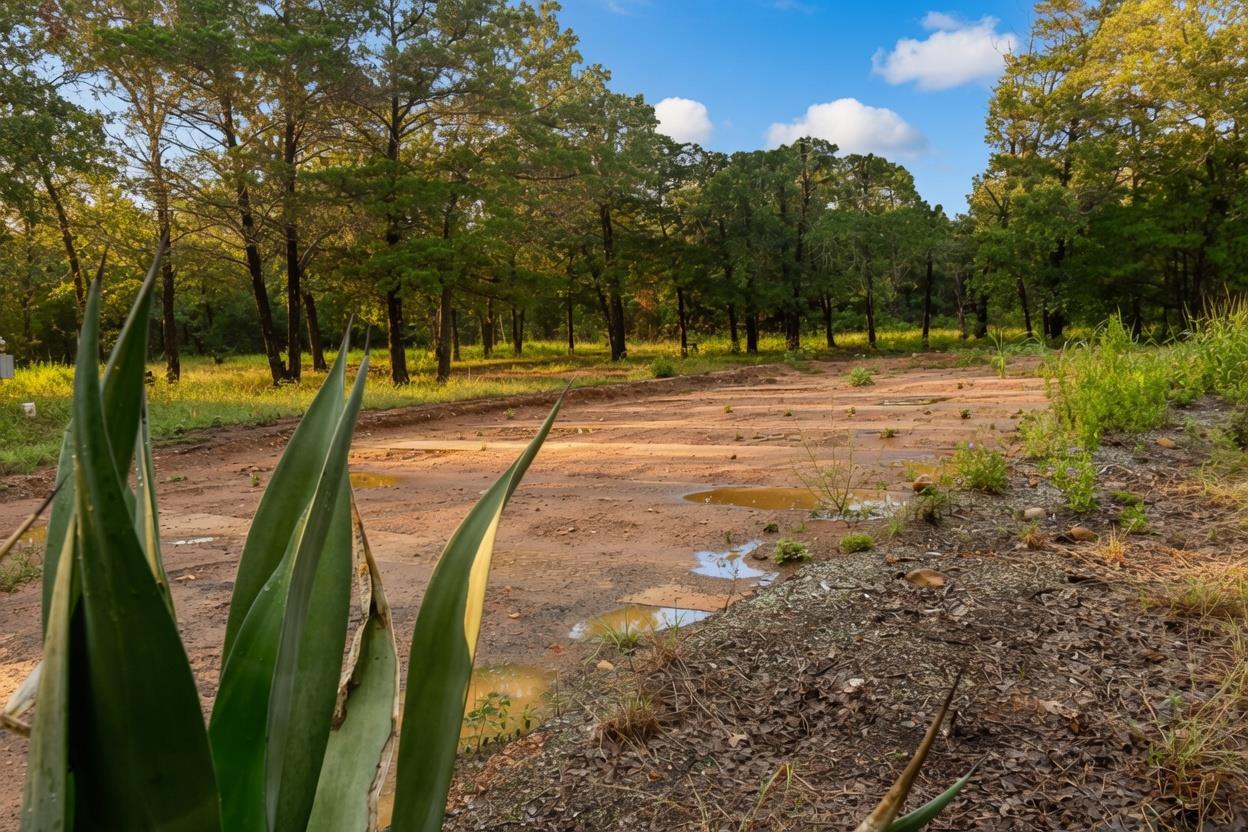 Land in Cedar Creek 4