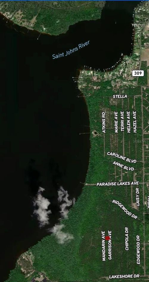 131 Garrison Ave, Georgetown, FL, 32139 | Card Image