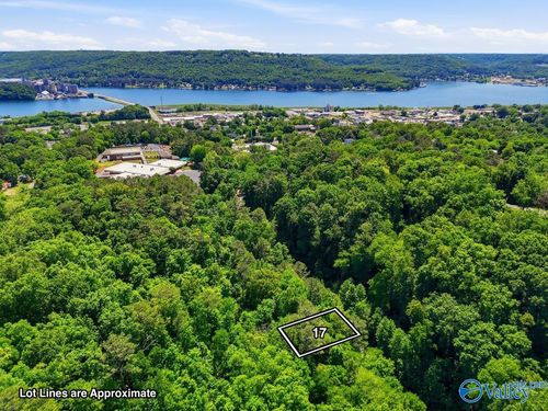 Lot 17 Lusk St, Guntersville, AL, 35976 | Card Image