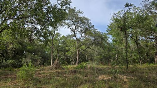 4811 N Redwood Ave, Hernando, FL, 34442-2709 | Card Image