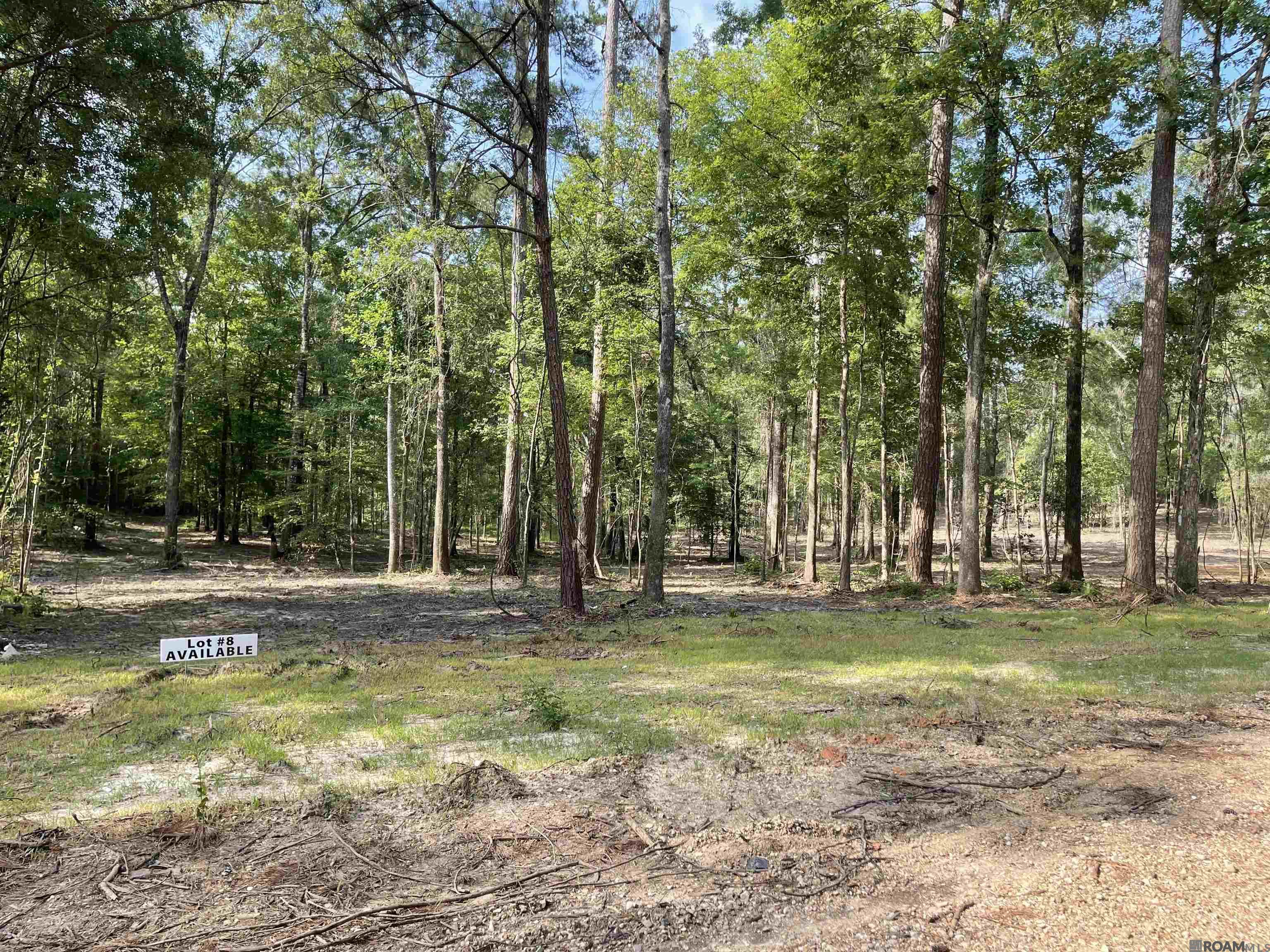 Land in Clinton
