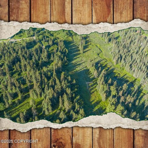68650 Homestead Rd, Ninilchik, AK, 99639-9685 | Card Image
