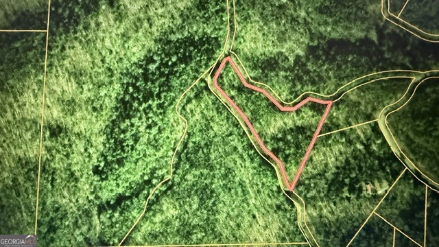 Land in Ellijay 4
