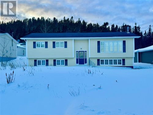 21 Main St, Embree, NL, A0G2A0 | Card Image