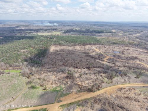 001 Lane Rd, Cascilla, MS, 38920 | Card Image
