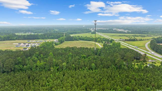 Bird's eye view of a forest | Image 9