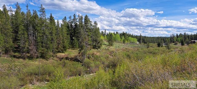 1670 Shadow Loop S, Home with 0 bedrooms, 0 bathrooms and null parking in Ashton ID | Image 6