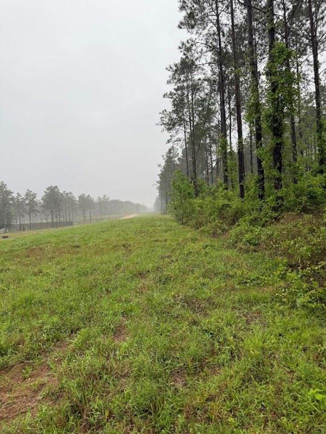 0 Richardson Rd E, Home with 0 bedrooms, 0 bathrooms and null parking in Livingston TX | Image 23