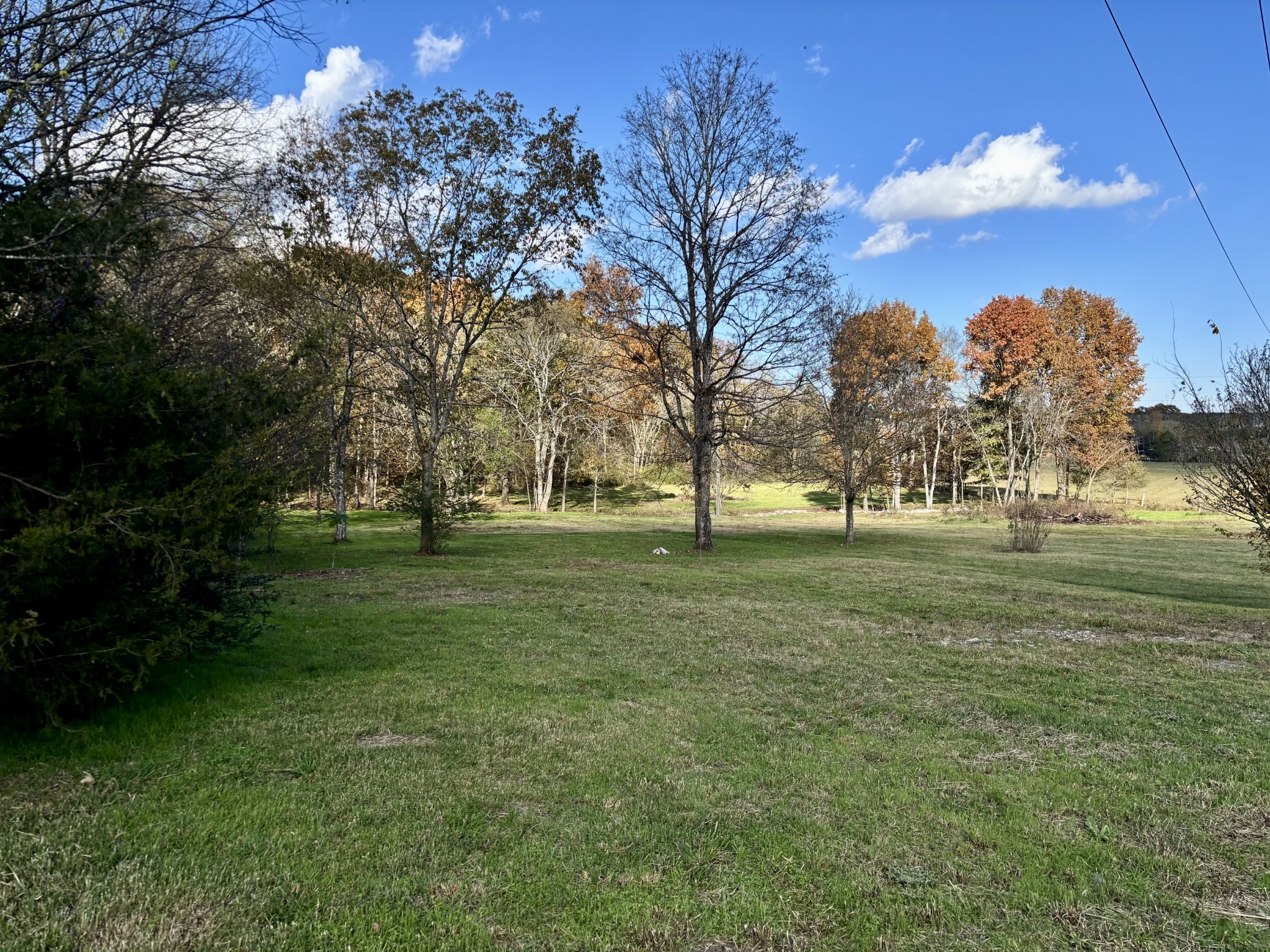 Land in Spring Hill 4