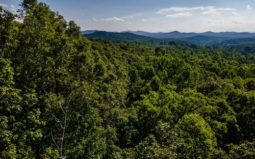 L11 Mattie Ln, Blairsville, GA, 30512 | Card Image