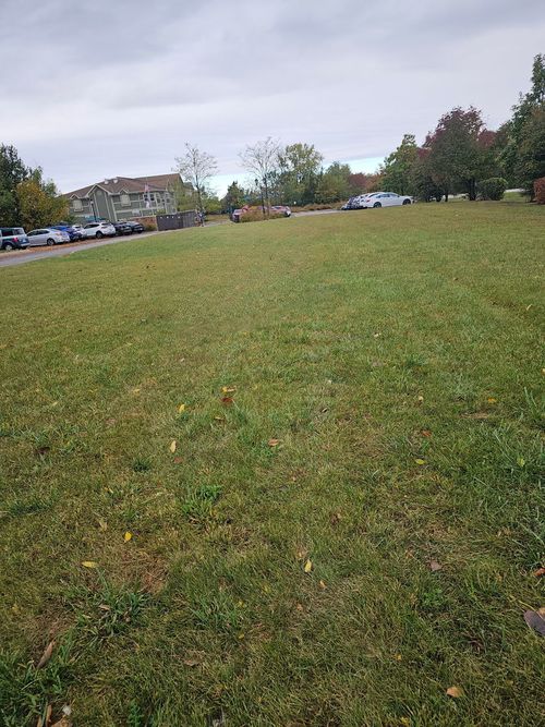 3981 Old Mchenry Rd, Long Grove, IL, 60047 | Card Image