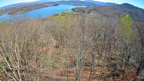0 Scenic Dr, South Pittsburg, TN, 37380 | Card Image
