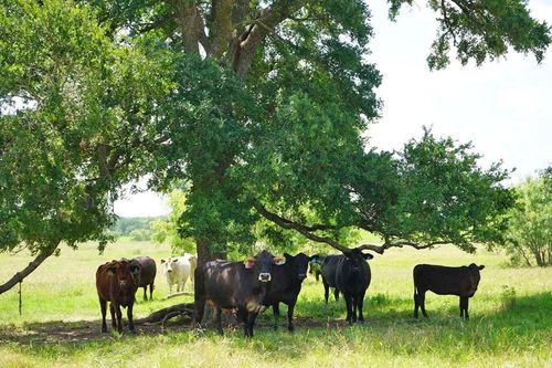 50 County Rd, Navasota, TX, 77868 | Card Image