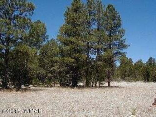3120, 3122 Whitetail Way, Overgaard, AZ, 85933 | Card Image