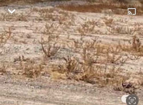 2380 N Leslie St, Pahrump, NV, 89060-3170 | Card Image