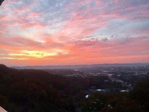 apt-11g-1131 Stringers Ridge Rd, Chattanooga, TN, 37405-3252 | Card Image