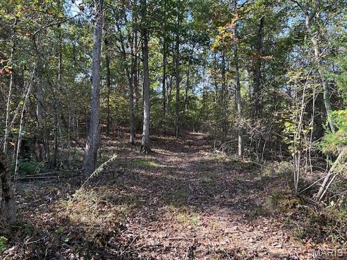 240 Kaw Ct, Annapolis, MO, 63620 | Card Image