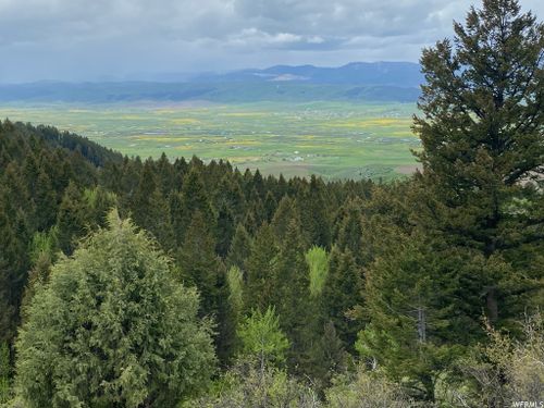 400 Grover Dry Farm Rd, Afton, WY, 83110 | Card Image