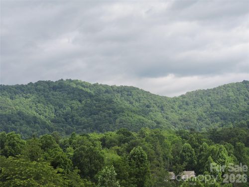 lot-11-60 Gins Lane, Mars Hill, NC, 28754 | Card Image