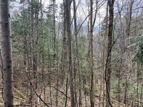 123 High Top Rd, Wilmington, VT, 05363 | Card Image