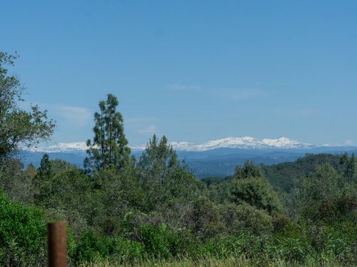 3924 Pine Cone Drive, Rescue, CA, 95672 | Card Image