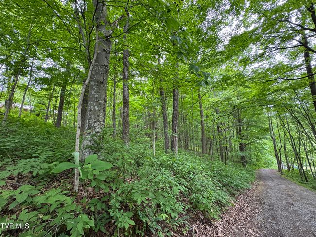 649 Sugar Run Rd, House other with 4 bedrooms, 3 bathrooms and null parking in Jonesville VA | Image 17