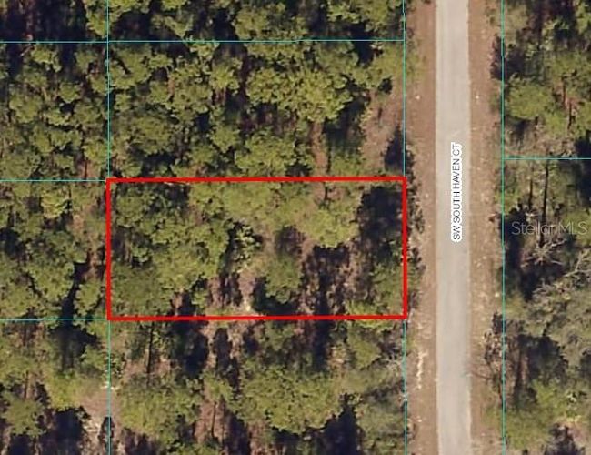 00 Sw Southhaven Court, Home with 0 bedrooms, 0 bathrooms and null parking in Dunnellon FL | Image 1