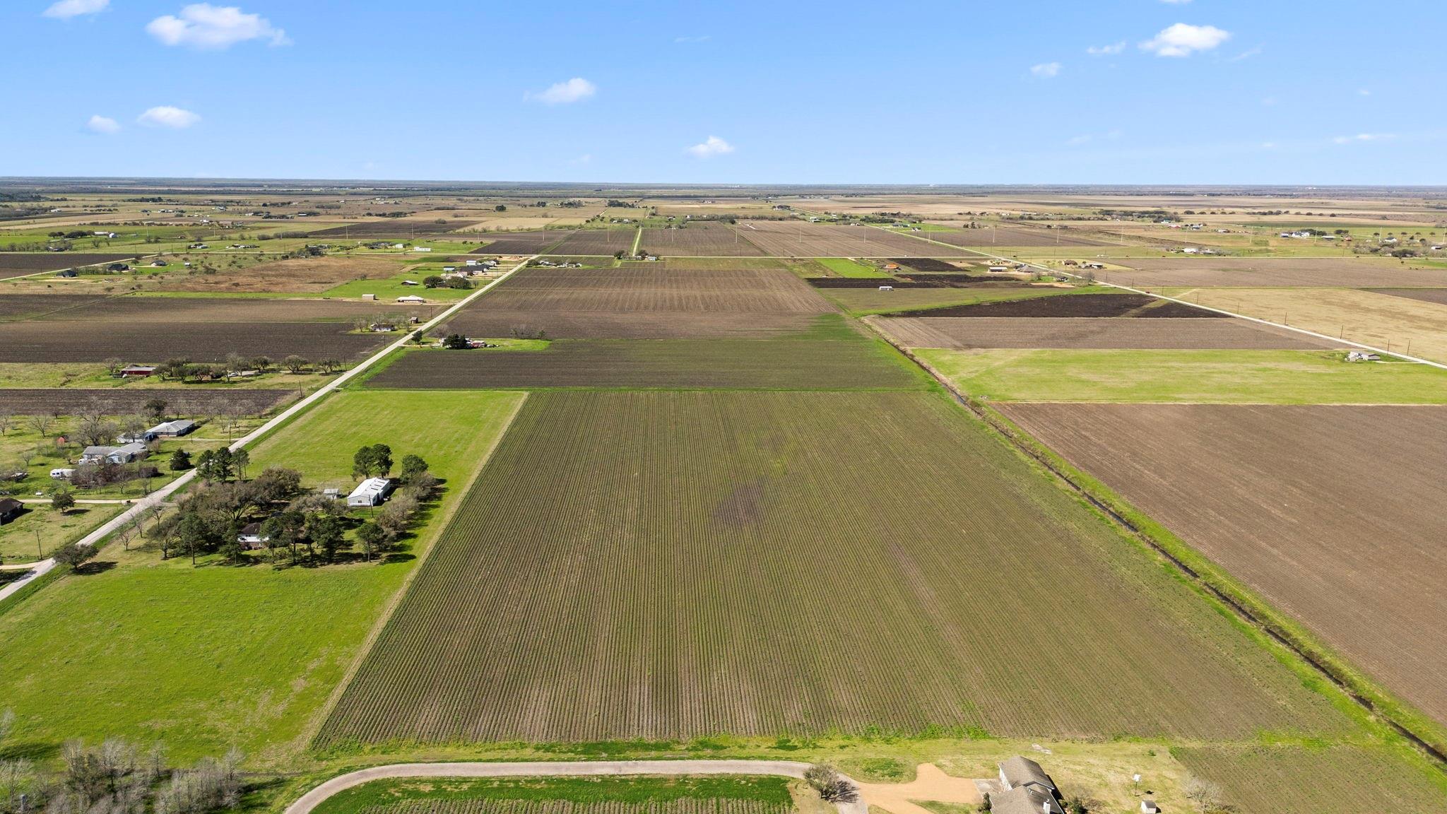 Farm in East Bernard 3