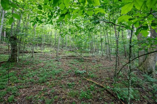 Lot 56 Bryant Cove Rd, Blairsville, GA, 30512-3318 | Card Image