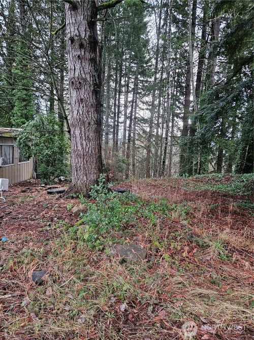 321 Ne Barbara Blvd, Belfair, WA, 98528-9464 | Card Image
