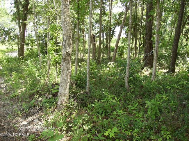 135 E High Bluff Dr, Home with 0 bedrooms, 0 bathrooms and null parking in Hampstead NC | Image 4
