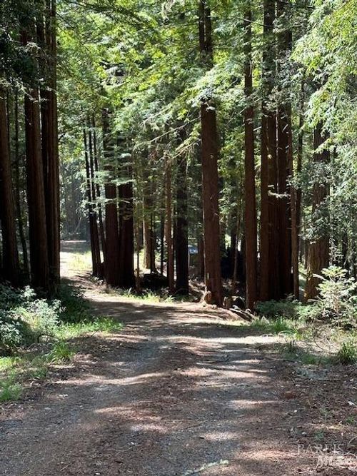 22051 Rust Ct, Jenner, CA, 95450-9716 | Card Image