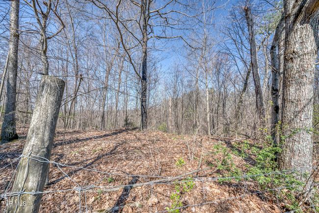 LOT-12 - Tbd Highway 44, Home with 0 bedrooms, 0 bathrooms and null parking in Bristol TN | Image 14
