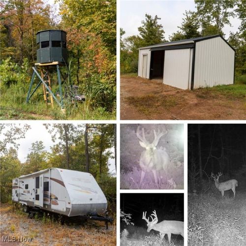 38100 Ogles Ridge Rd, Dexter City, OH, 45727 | Card Image