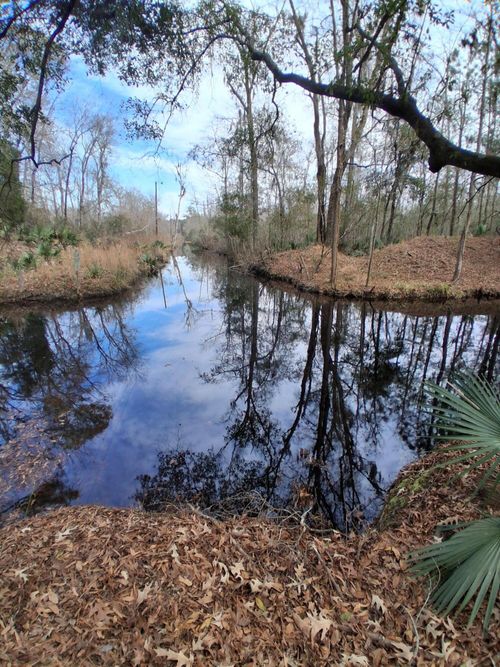 lot-47-and-47a-0 Crumley Road, Walterboro, SC, 29488 | Card Image