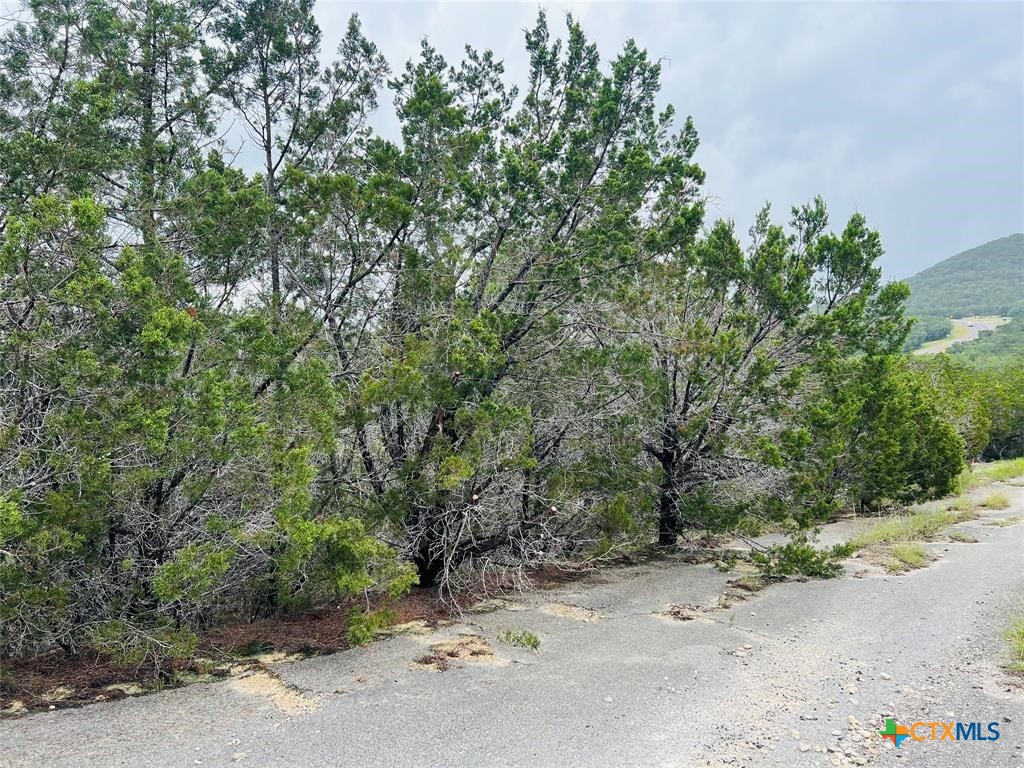Land in Leander 3