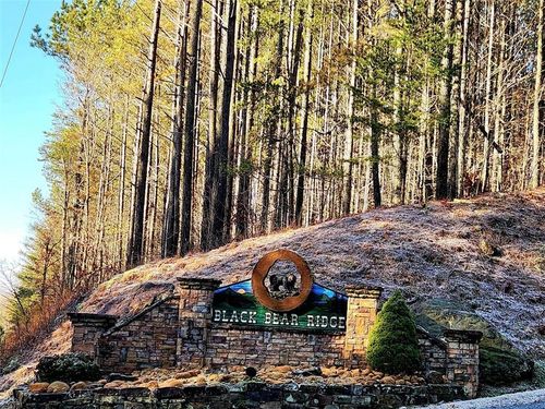 0 Black Bear Ridge Rd, Ellijay, GA, 30536 | Card Image