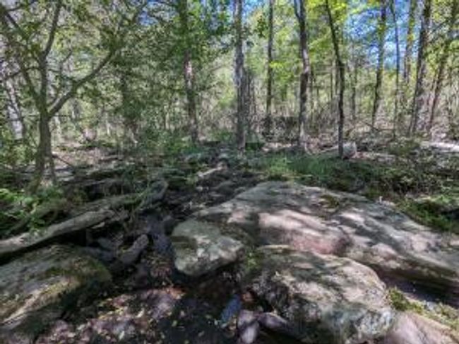 27B & 28B Shelby Lane, Home with 0 bedrooms, 0 bathrooms and null parking in Cecil AR | Image 40
