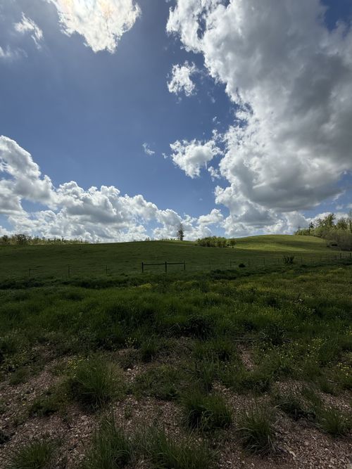 0 Brigham Branch Rd, Erin, TN, 37061 | Card Image