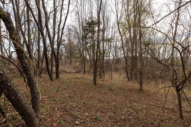 0 Shen Lake Rd, Home with 0 bedrooms, 0 bathrooms and null parking in HARRISONBURG VA | Image 40