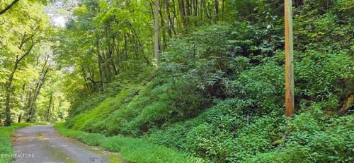 Lot 29 Black Walnut Flats Rd, Sevierville, TN, 37862-7941 | Card Image