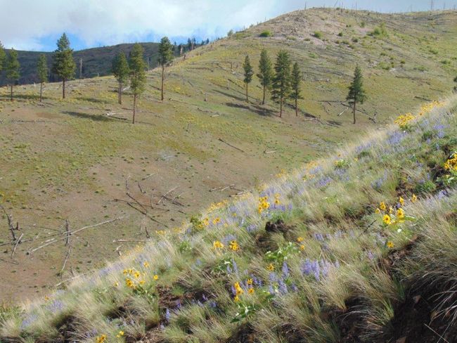 27235 Lazy Springs Rd, Home with 0 bedrooms, 0 bathrooms and null parking in Clinton MT | Image 82