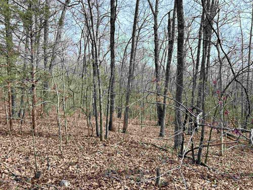 TBD Giles Rd, Hardy, AR, 72542 | Card Image