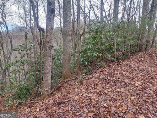 0 La Belle Cir, Dillard, GA, 30537 | Card Image