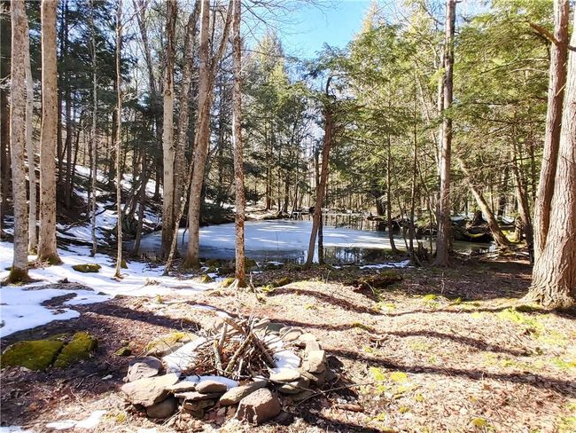 815 Roaring Brk, House other with 3 bedrooms, 2 bathrooms and null parking in Highmount NY | Image 28