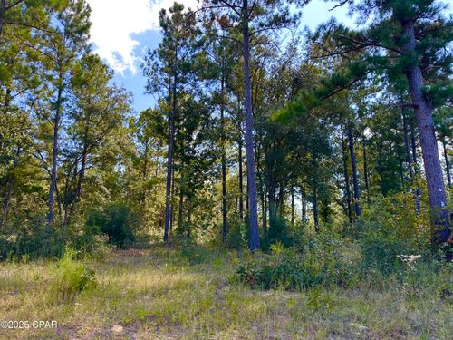 24 Fairview Rd, Marianna, FL, 32448-7168 | Card Image