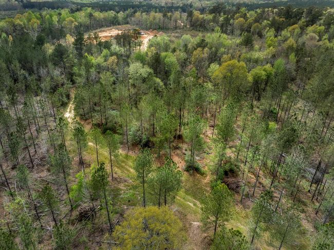18-DJI_0719 | Image 4