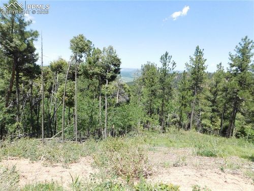 13670 Spruce Creek Cir, Larkspur, CO, 80118-6602 | Card Image