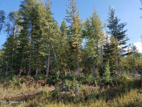 113 Trail Blazer Ct, Pinehurst, ID, 83850-1106 | Card Image