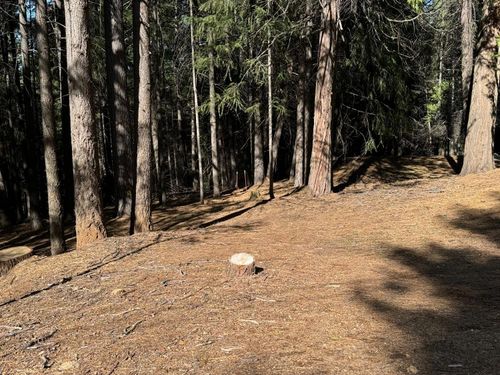 5771 Lupin Lane, Pollock Pines, CA, 95726 | Card Image